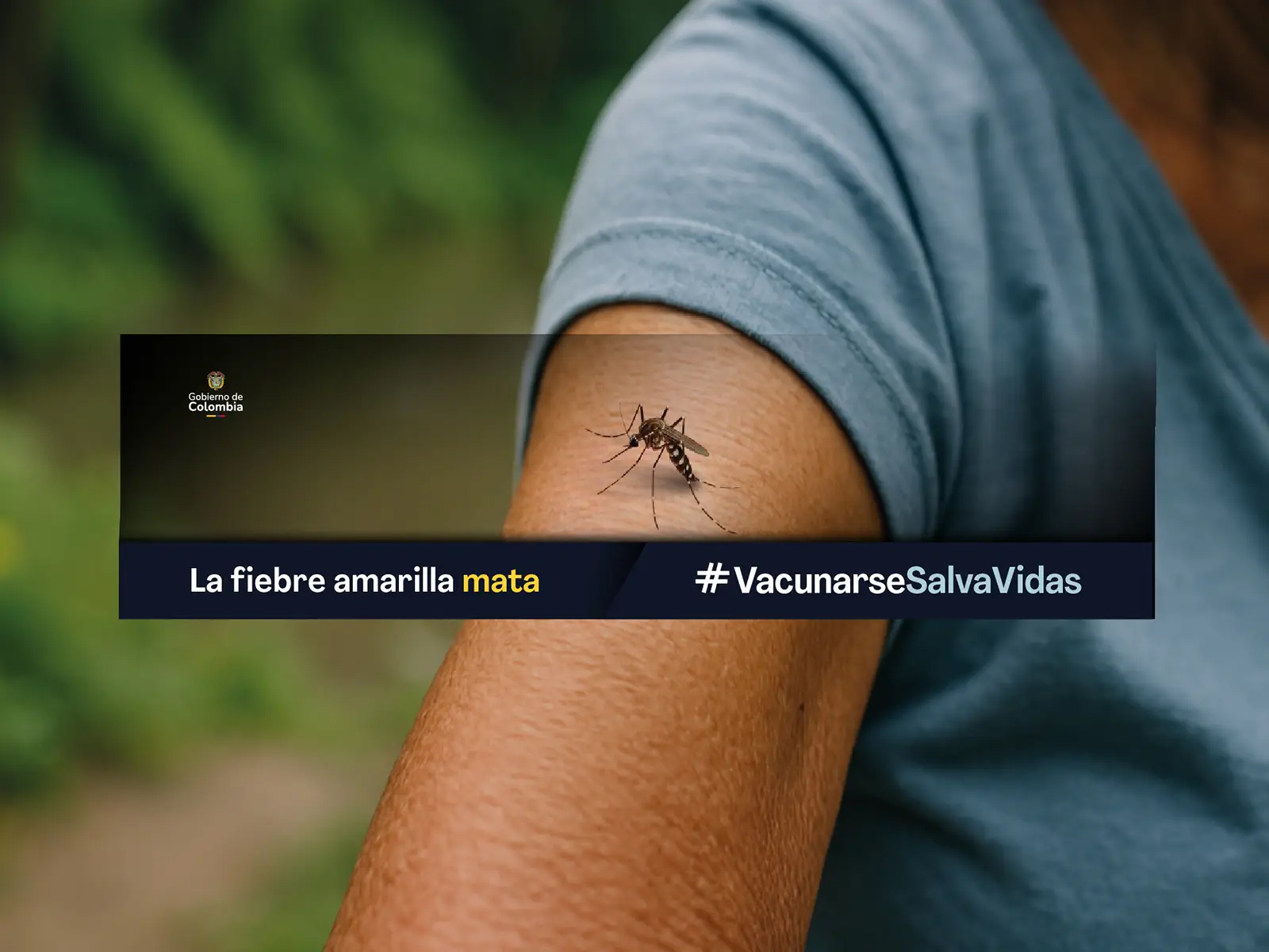 Emergencia sanitaria en Colombia por brote de fiebre amarilla